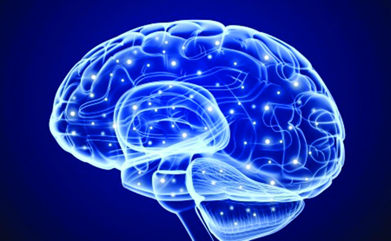 A virtual image of a human brain. 